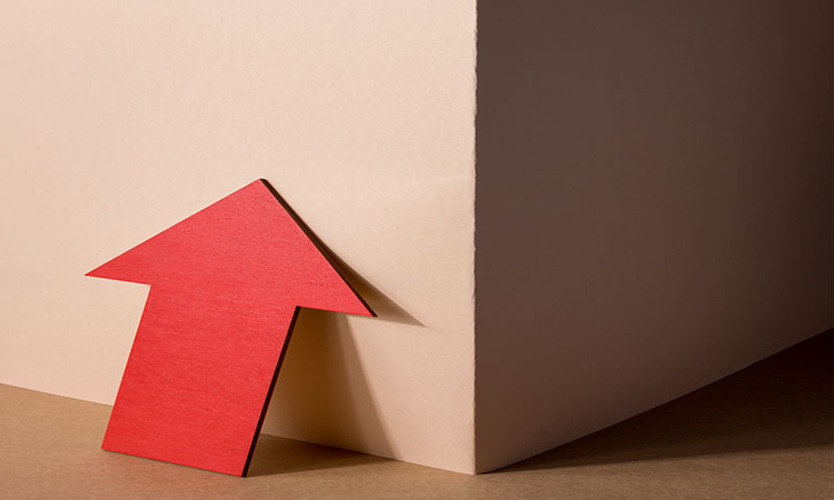 افزایش قیمت کارتن